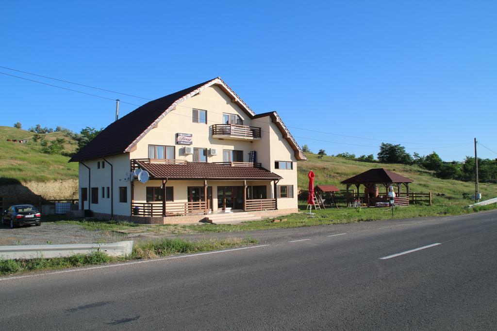 Pensiunea Fery Slobozia-Oancea Экстерьер фото
